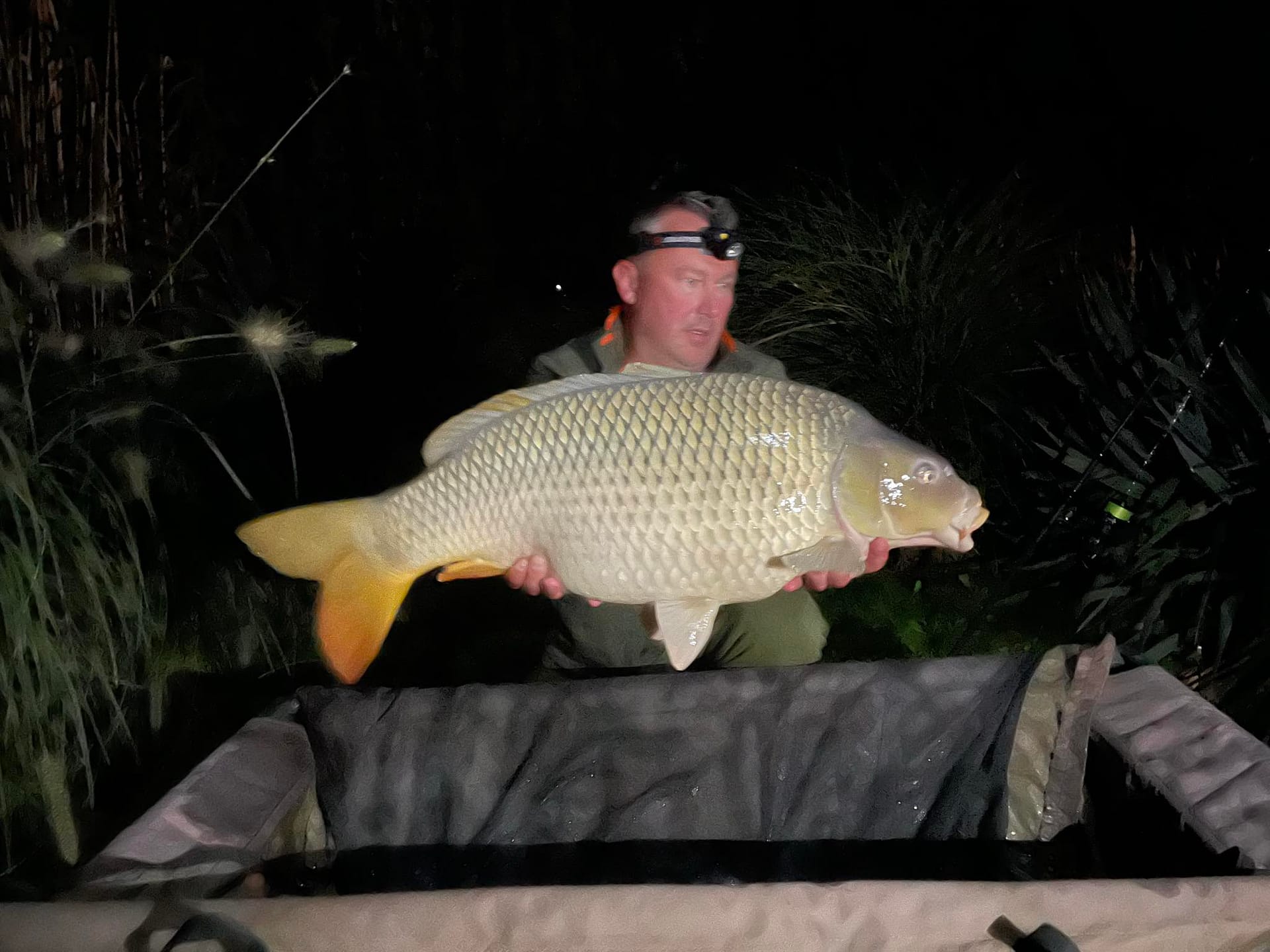 20251007_190846_att.aLmq2vitlgh_B1qo_3JSxCpzZ5vJl8ZXbquT4OGiw5c